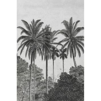 FOTOTAPET ART FOR THE HOME PALMEN
