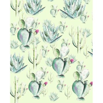 FOTOTAPET KOMAT KAKTUS GRÖN 200X250 CM