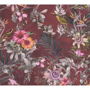 TAPET A.S. CREATION DREAM FLOWERY FLOWERS RÖD 38178-5