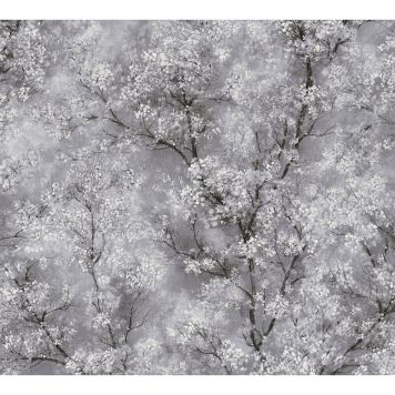 TAPET A.S CREATION LIVING WALLS CHERRO BLOSSOM GREY 37420-1 