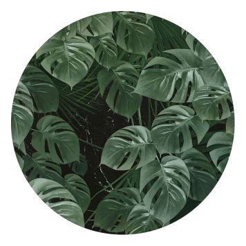 VÄGGDEKAL KOMAR DOT NOVEL MONSTERA 125CM