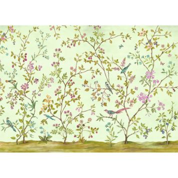 FOTOTAPET KOMAR OISEAUX DU PARADIS 350X250CM