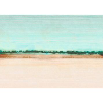 FOTOTAPET KOMAR DRIFT 350X250CM