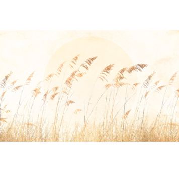 FOTOTAPET KOMAR DUNE GRASS 400X250CM