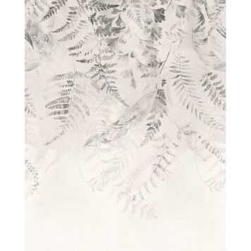 FOTOTAPET KOMAR ILLUMINATING IVY 200X250CM