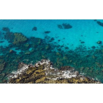 FOTOTAPET KOMAR BRIGHT BLUE 450X280CM