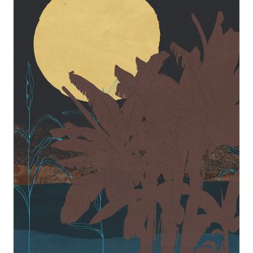 FOTOTAPET KOMAR SUPERMOON 250X280CM