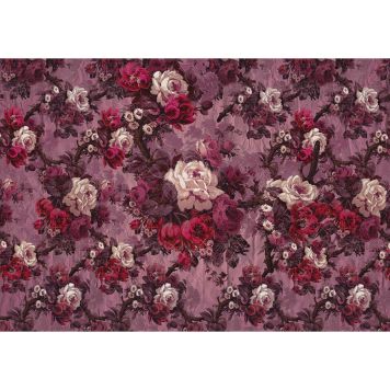 FOTOTAPET KOMAR MAGNIFIQUE 400X280CM