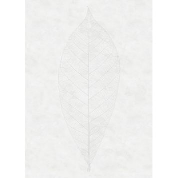 FOTOTAPET KOMAR DECENT LEAF 200X280CM