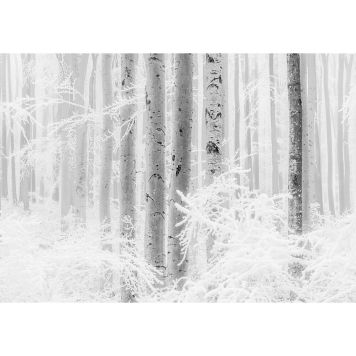FOTOTAPET KOMAR WINTER WOOD 400X280CM