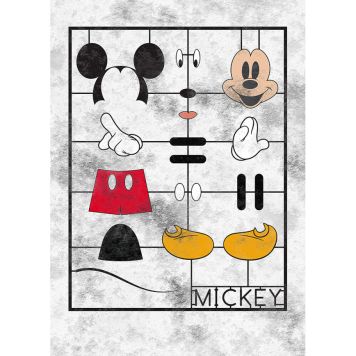FOTOTAPET KOMAR MICKEY KIT 200X280CM