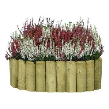 RABATTKANT GRÖN HÖJD:200MM