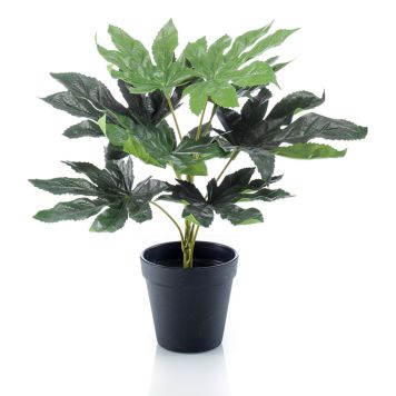KONSTVÄXT EMERALD ARALIA I KRUKA 30CM