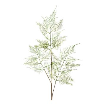 KONSTVÄXT EMERALD FJÄDERSPARRIS SNITT 80CM