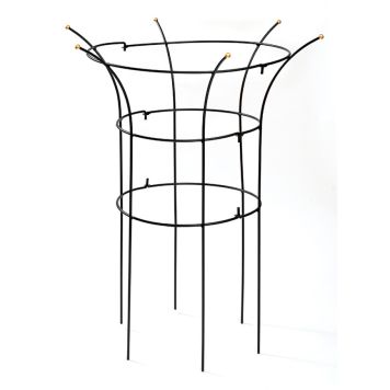 BUSKSTÖD PION SVART MEDMÄSSINGSKNOPPAR 80CM