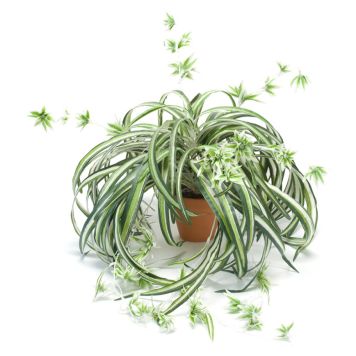 KONSTVÄXT AMPELLILJA I KRUKA 55CM