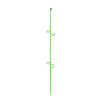 ORCHIDECO ELEGANCE LIME