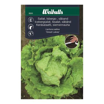 GRÖNSAKSFRÖ WEIBULLS SALLAT ISBERGS SÅBAND