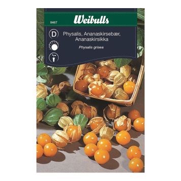 GRÖNSAKSFRÖ WEIBULLS PHYSALIS