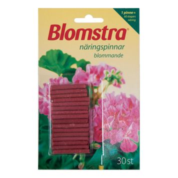 NÄRINGSPINNAR BLOMSTRA BLOM VÄXTER