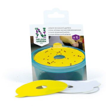 LIMARK NELSON GARDEN TILL BANANFLUGEÄLLA  6-PACK 