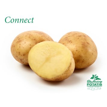 SÄTTPOTATIS STUBBETORP CONNECT 1 KG
