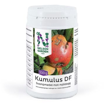 KUMULUS NELSON GARDEN DF 200G