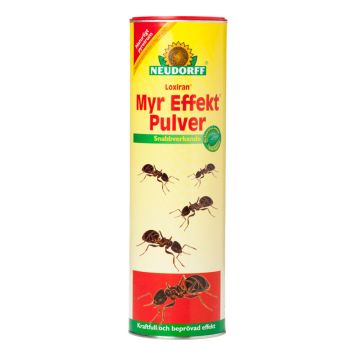 MYR EFFEKT PULVER 500G