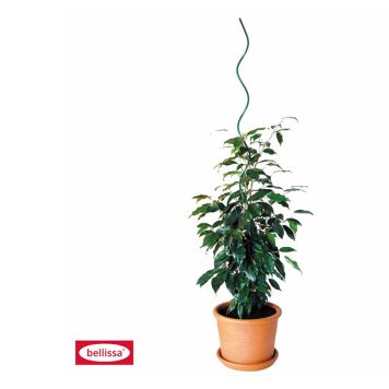 VÄXTSPIRAL BELLISSA 110 CM