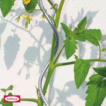 TOMATSPIRAL BELLISSA 150 CM