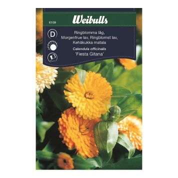 BLOMFRÖ WEIBULLS RINGBLOMMA LÅG BLAND