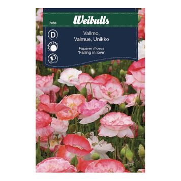 BLOMFRÖ WEIBULLS VALLMO FALLING IN LOVE