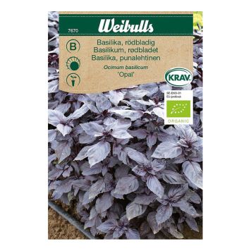 GRÖNSAKSFRÖ WEIBULLS BASILIKA RÖDBLADIG KRAV