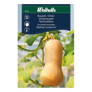 GRÖNSAKSFRÖ WEIBULLS SQUASH VINTER