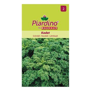 GRÖNSAKSFRÖ PIARDINO GRÖNKÅL KRUSIG  