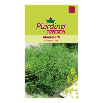 GRÖNSAKSFRÖ PIARDINO DILL MAMMOTH  