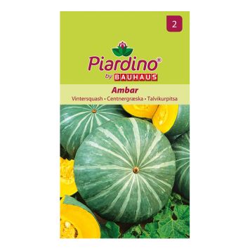 GRÖNSAKSFRÖ PIARDINO VINTERSQAUSH AMBAR  