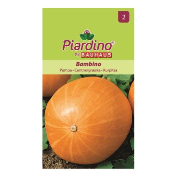 GRÖNSAKSFRÖ PIARDINO PUMPA BAMBINO 