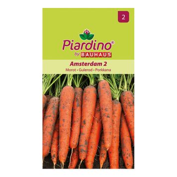 GRÖNSAKSFRÖ PIARDINO MOROT AMSTERDAM 