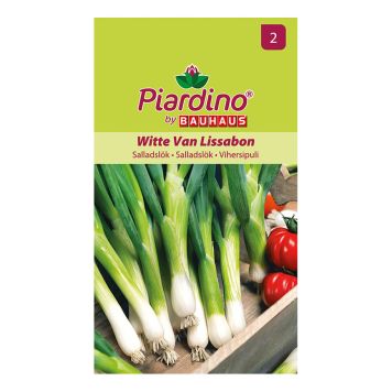 GRÖNSAKSFRÖ PIARDINO SALLADSLÖK WITTE VAN LISSABON  