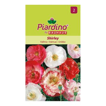 BLOMFRÖ PIARDINO VALLMO SHIRLEY 