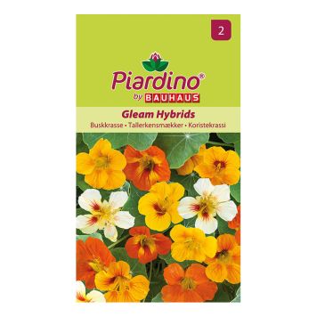BLOMFRÖ PIARDINO BUSKKRASSE GLEAM HYBRIDS  