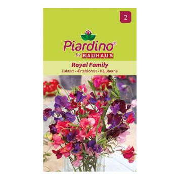 BLOMFRÖ PIARDINO LUKTÄRT ROYAL FAMILJ 