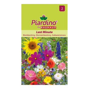 BLOMFRÖ PIARDINO BLOMBLANDNING LAST MINUTE 