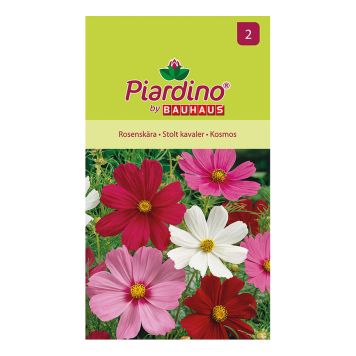 BLOMFRÖ PIARDINO ROSENSKÄRA MIX 