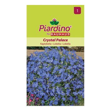 BLOMFRÖ PIARDINO KAPLOBELIA CRYSTAL PALACE 