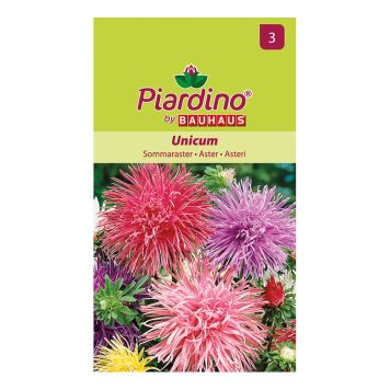 BLOMFRÖ PIARDINO SOMMARASTER UNICUM MIX  