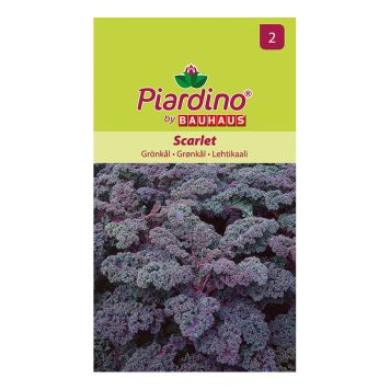 GRÖNSAKSFRÖ PIARDINO GRÖNKÅL SCARLET
