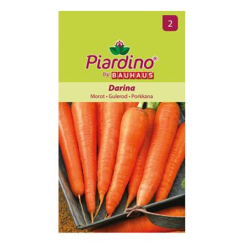 GRÖNSAKSFRÖ PIARDINO MOROT DARINA 