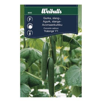 GRÖNSAKSFRÖ WEIBULLS GURKA KALUNGA VÄXTHUS